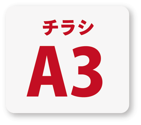 A3