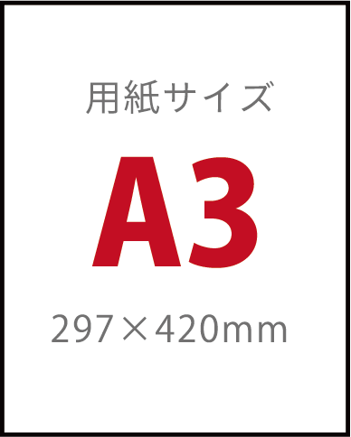 A3